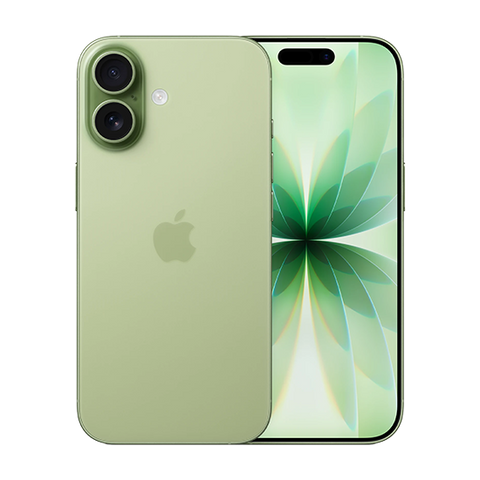 Apple iPhone 17 16,0 cm (6,3") Super Retina XDR Dual-SIM A19 8GB 256GB Sage EU (MG6N4QN/A)