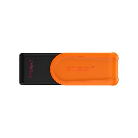 MEMORIA USB 256GB 3.2 KINGSTON DTXS/256GB