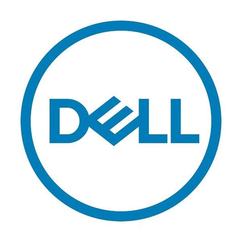 DELL HDD 1 TB 7,2K 3,5 Inch 3.5" 1000 GB SAS