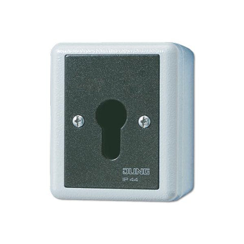 JUNG 833.18 G interruttore elettrico Key-operated switch 1P Nero, Bianco