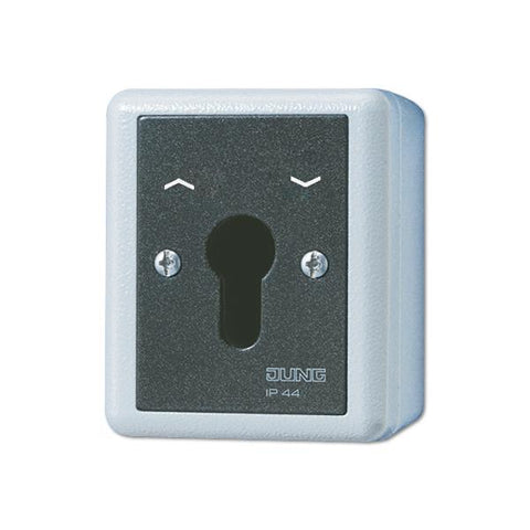 JUNG 804.28 G interruttore elettrico Key-operated switch 2P Nero, Bianco