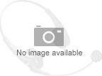 AVer Funkmikrofon-Set fr PA511D AW111 (61AW111000AB)