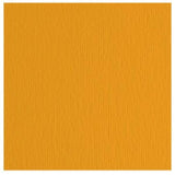 FABRIANO COLORE CARTONCINO 220 GR 70X100 CM ARAGOSTA CONF 10 Pz.