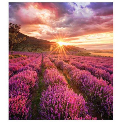 Samsung IF015H-E LED Interno (SAMSUNG LED - IF-E 1.5MM CABINETS)