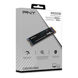 PNY CS1030 SSD 250GB M.2 NVMe PCIe GEN3 x4 - LETTURA 2500 MB/s SCRITTURA 1100 MB/s