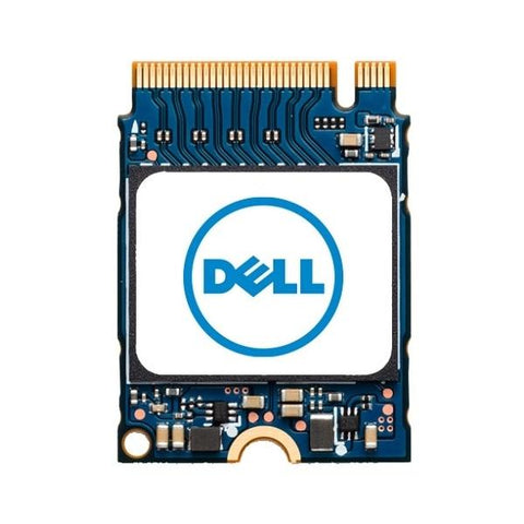 DELL SNP112233P/256G drives allo stato solido 256 GB M.2 PCI Express NVMe (M.2 256 GB PCI Express - Warranty: 12M)