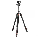 Hama Ramble II Duo Carbon treppiede Smartphone/macchina fotografica digitale 4 gamba/gambe Carbonio