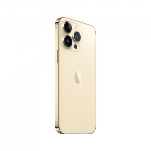 Apple iPhone 14 Pro Max 17 cm (6.7") Doppia SIM iOS 16 5G 256 GB Oro