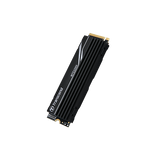 Transcend MTE250H 2 TB M.2 PCI Express 4.0 NVMe 3D NAND (Transcend MTE250H - 2TB - PCI Express)