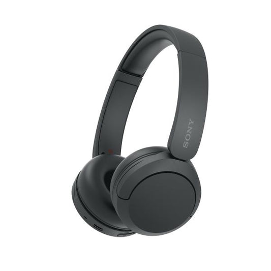 Sony Cuffie Wir/BT Mic WH-CH520 Black