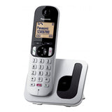 CORDLESS PANASONIC C250JTS SILVER