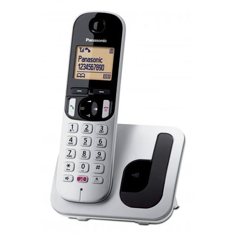CORDLESS PANASONIC C250JTS SILVER