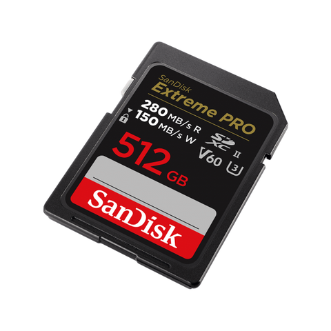SanDisk SDSDXEP-512G-GN4IN memoria flash 512 GB SDXC UHS-II Classe 10