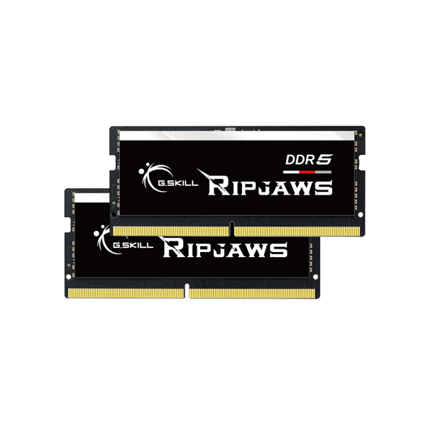 G.Skill Ripjaws F5-5600S4040A32GX2-RS memoria 64 GB 2 x 32 GB DDR5 5600 MHz