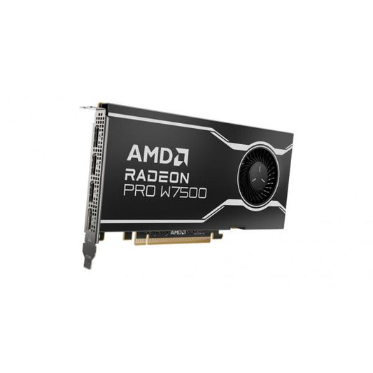 AMD Radeon Pro W7500 - 8GB.