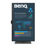 MONITOR BENQ 24 IPS 2XHDMI DP 100HZ MM BENQ BL2490 16:9 9H.LM5LJ.LBE