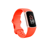 Fitbit Charge 6 AMOLED Braccialetto per rilevamento di attivit Oro (Fitbit Charge 6 OLED Wristband Activity Tracker coral/aluminium gold)