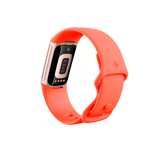 Fitbit Charge 6 AMOLED Braccialetto per rilevamento di attivit Oro (Fitbit Charge 6 OLED Wristband Activity Tracker coral/aluminium gold)