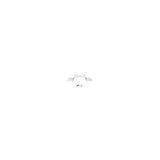 AVer 60U6300000AD accessorio per videoconferenza Montaggio a soffitto Bianco (CEILING MOUNT FOR FONE700)