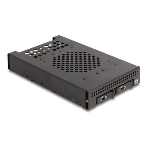 DeLOCK Rack mobile da 3.5? per 2 x M.2 NVMe SSD con connettore Slim SAS SFF-8654