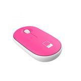 PANTONE KIT CUSTODIA PER NOTEBOOK FINO A 16" + MOUSE WIRELESS CLICK SILENZIOSO DPI REGOLABILI PINK