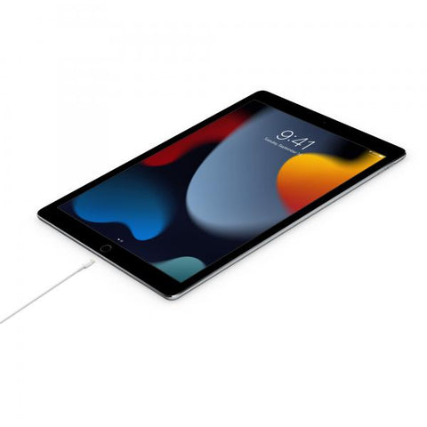 Cavo Apple da USB-C a Lightning (2m)