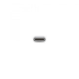 Apple Adattatore USB-C - USB