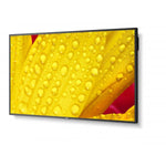 NEC MultiSync M501-2 Design chiosco 127 cm [50] LED 4K Ultra HD Nero Processore integrato (M501-2 50 INCH M-series Large Format Display)
