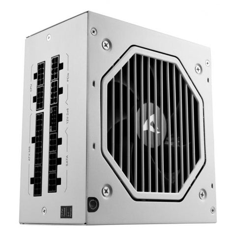 SHARKOON REBEL P20 ALIMENTATORE 1000 W CYBENETICS PLATINUM FULLY-MODULAR ATX 3.1 BIANCO
