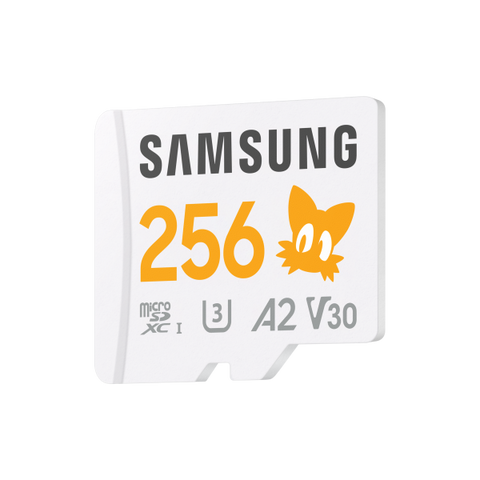 Samsung MB-MD256S 256 GB MicroSDXC UHS-I Classe 10
