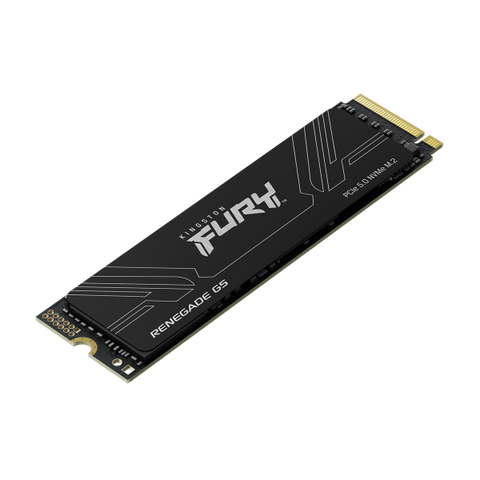 Kingston Technology 1T FURY RENEGADE G5 M.2 2280 NVMe SSD