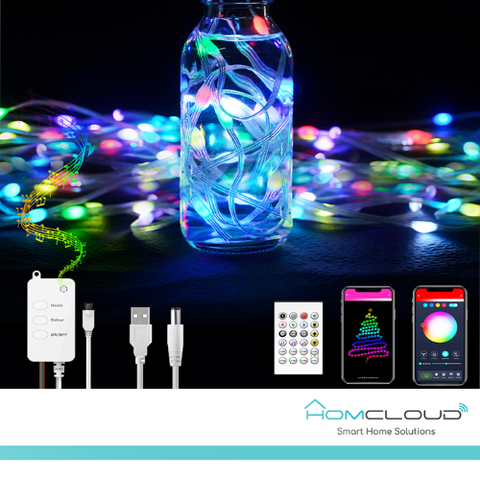 Homcloud Corda in PVC di Luci Decorative Smart RGB-IC OUTDOOR Wi-Fi + Bluetooth 10M IP65