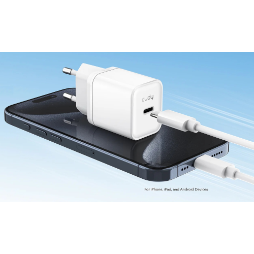 CARICA BATTERIA USB-C 20W QC+PD3.0 X IPHONE DA SERIE 12/GALAXY/IPAD
