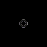 APPLE LENTE FOTOCAMERA POSTERIORE PER IPHONE 7G/8G/SE 2020/SE 2022