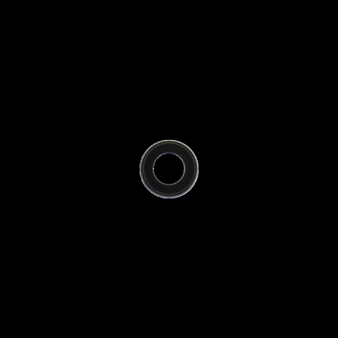 APPLE LENTE FOTOCAMERA POSTERIORE PER IPHONE 7G/8G/SE 2020/SE 2022