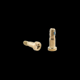 APPLE VITI BLOCCO CONNETTORE DI CARICA PER IPHONE 8 GOLD 10 PEZZI