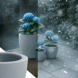 3er Set Pflanzkbel 1