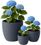 3er Set Pflanzkbel 1