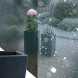 2er Set Pflanzkbel 3