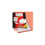 MARKIN C/599A3 CONF 100 ETICHETTE 297x420 MM ADESIVE COLORE BIANCO (214C599A3)