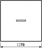 Jung HOME Taster 1fach BTLS17101SWM 1 (BTLS17101SWM)