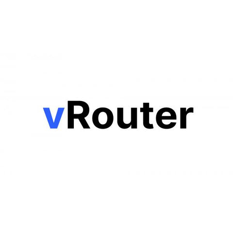 Lancom Systems vRouter 250 1Y