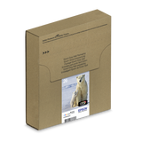 Epson Polar bear Multipack 4-colours 26 EasyMail (EPSON 26 POLAR BEAR MULTIPACK EASYMAIL)