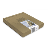Epson Polar bear Multipack 4-colours 26 EasyMail (EPSON 26 POLAR BEAR MULTIPACK EASYMAIL)