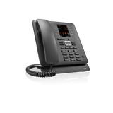 Gigaset Maxwell C telefono IP Nero TFT