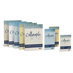CARTOTECNICA FAVINI PERGAMENA 25 BUSTE 11X22 90 GR COLORE NATURALE