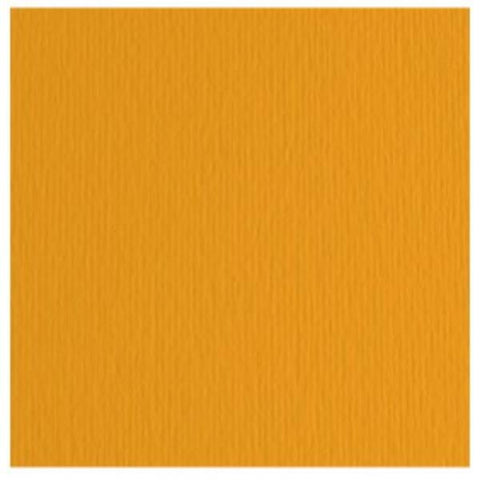 FABRIANO COLORE CARTONCINO 220 GR 70X100 CM ARAGOSTA CONF 10 Pz.