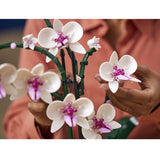 LEGO BOTANICAL COLLECTION ORCHIDEA SET PER ADULTI DA COLLEZIONE