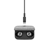 Sennheiser MOMENTUM True Wireless Cuffia True Wireless Stereo (TWS) In-ear Calls/Music USB tipo-C Bluetooth Nero, Argento