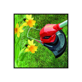 Einhell GC-CT 18/24 Li-Solo Batteria Nero, Rosso ***
